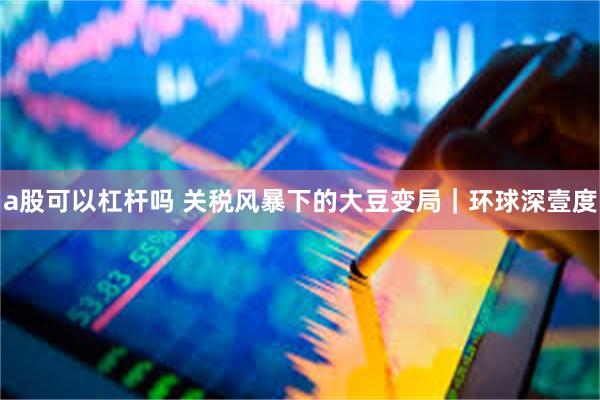 a股可以杠杆吗 关税风暴下的大豆变局｜环球深壹度