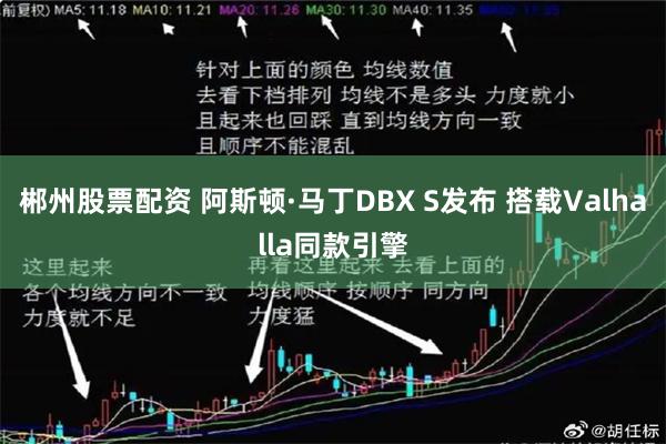 郴州股票配资 阿斯顿·马丁DBX S发布 搭载Valhalla同款引擎