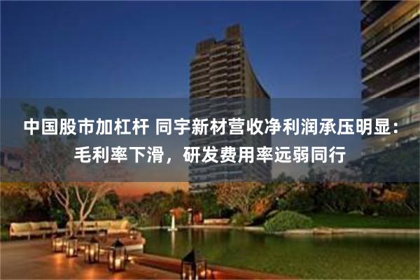 中国股市加杠杆 同宇新材营收净利润承压明显：毛利率下滑，研发费用率远弱同行