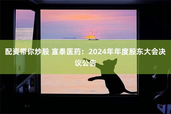 配资带你炒股 宣泰医药：2024年年度股东大会决议公告