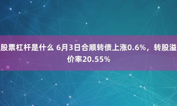 股票杠杆是什么 6月3日合顺转债上涨0.6%，转股溢价率20.55%