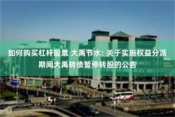 如何购买杠杆股票 大禹节水: 关于实施权益分派期间大禹转债暂停转股的公告