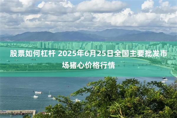股票如何杠杆 2025年6月25日全国主要批发市场猪心价格行情