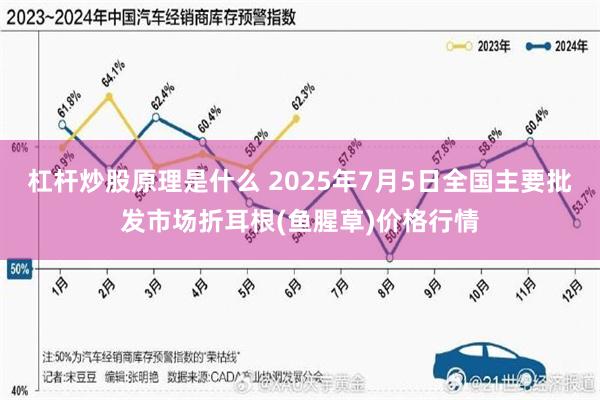 杠杆炒股原理是什么 2025年7月5日全国主要批发市场折耳根(鱼腥草)价格行情