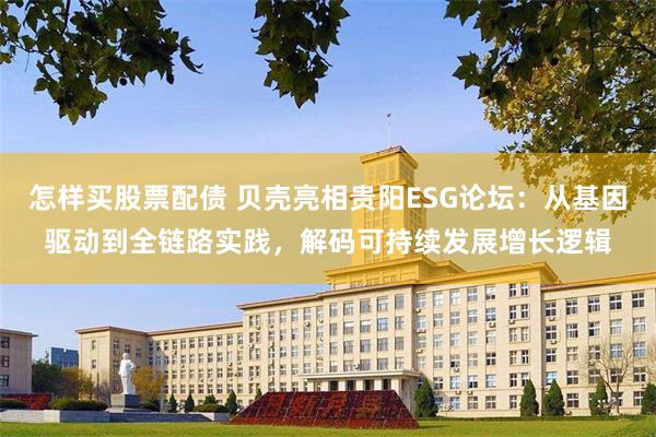 怎样买股票配债 贝壳亮相贵阳ESG论坛：从基因驱动到全链路实践，解码可持续发展增长逻辑