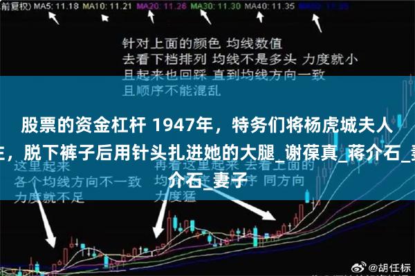 股票的资金杠杆 1947年，特务们将杨虎城夫人捆住，脱下裤子后用针头扎进她的大腿_谢葆真_蒋介石_妻子