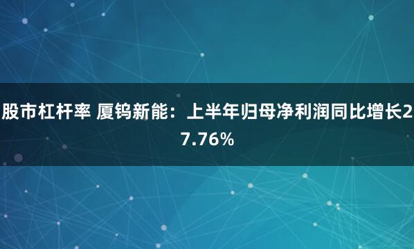 股市杠杆率 厦钨新能：上半年归母净利润同比增长27.76%