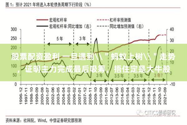 股票配资盈利 一旦遇到\＂蚂蚁上树\＂走势，证明主力完成最后吸筹，捂住定是大牛股